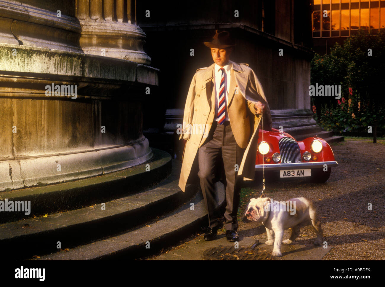 Man Walking bulldog London UK Banque D'Images