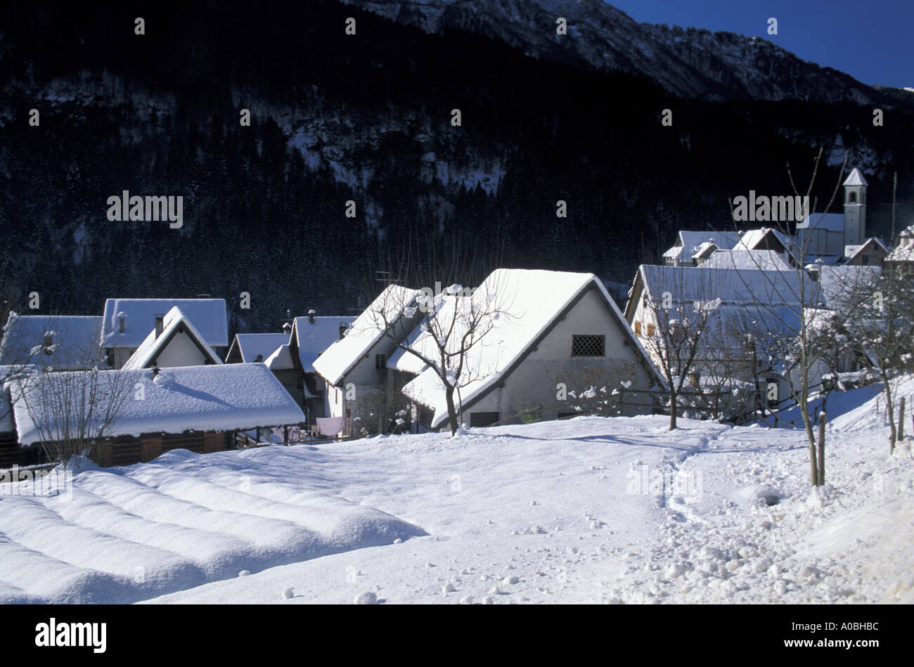 Cityscape Prato Carnico Italie Friuli Venezia Giulia Banque D'Images