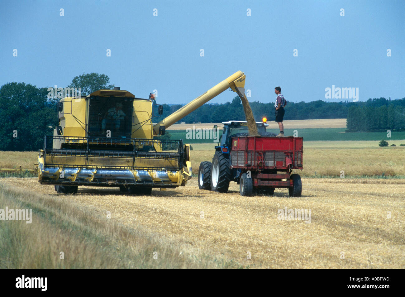 L'ensileuse tracteur chargement combiné à Cambridge Banque D'Images