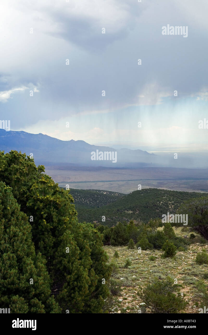 Orage avec pluie vu depuis le Parc National du Grand Bassin, Nevada Banque D'Images