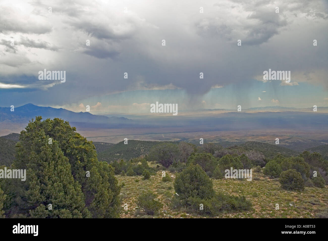 Orage avec pluie vu depuis le Parc National du Grand Bassin, Nevada Banque D'Images