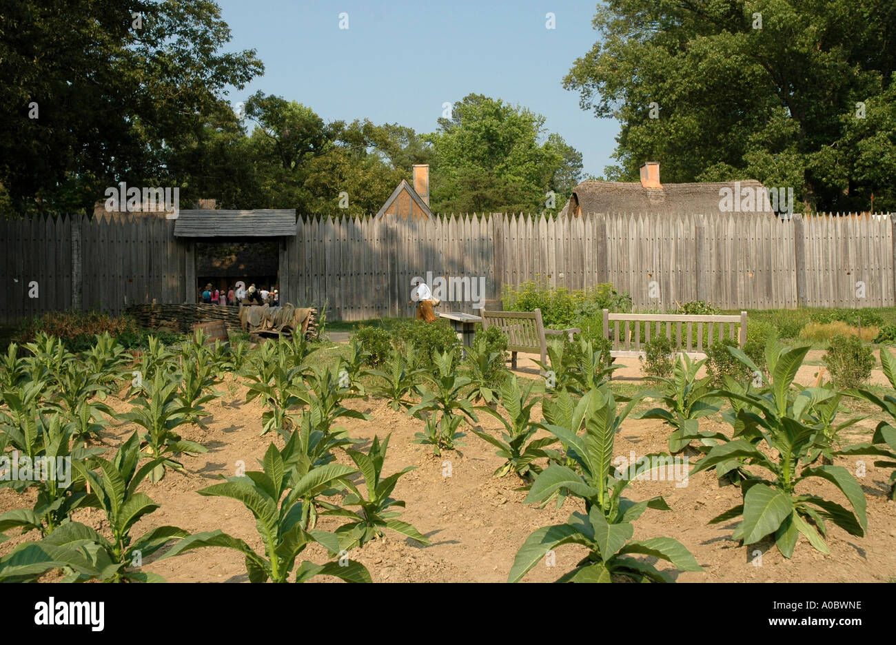 Jamestown Settlement Liviing jardin du musée de l'histoire Banque D'Images