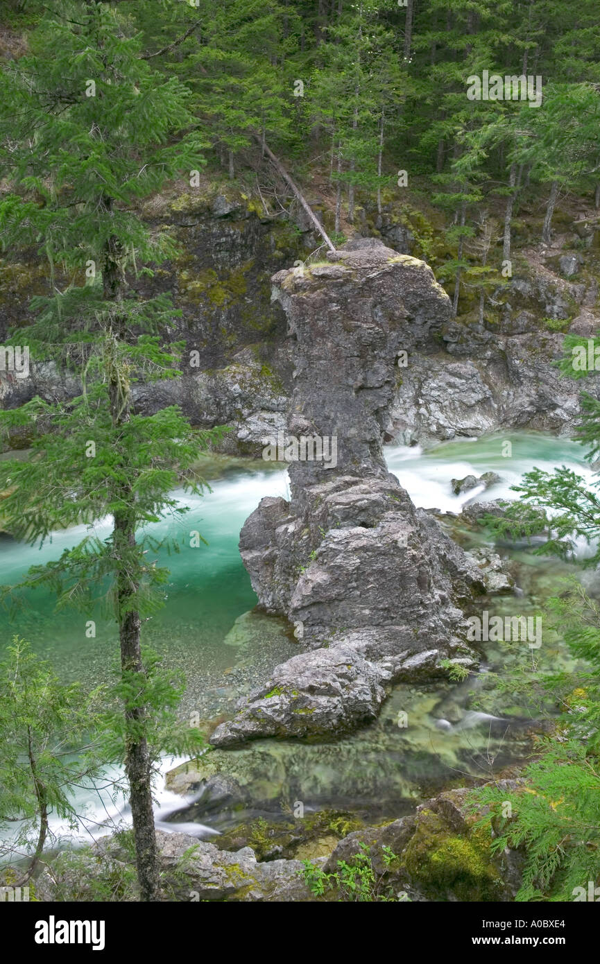 Peu au Nord Santiam Wild and Scenic River avec grande forêt nationale de Willamette rock molaire Oregon Banque D'Images