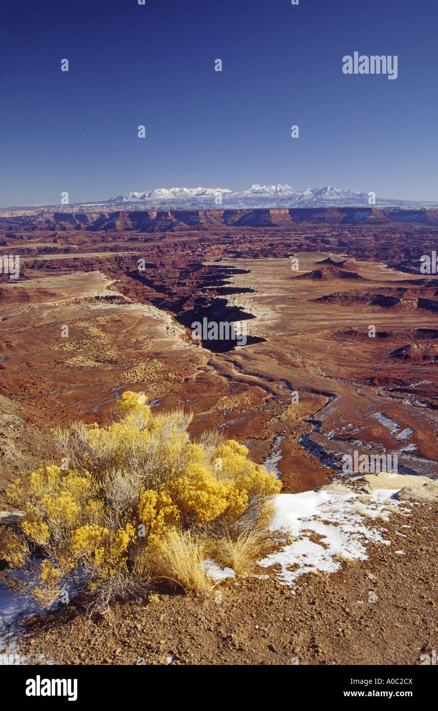 Neige à Buck Canyon Overlook, La Sal Mts au loin dist, hiver, dans le ciel de l'Île, District Canyonlands Nat Park, Utah, USA Banque D'Images