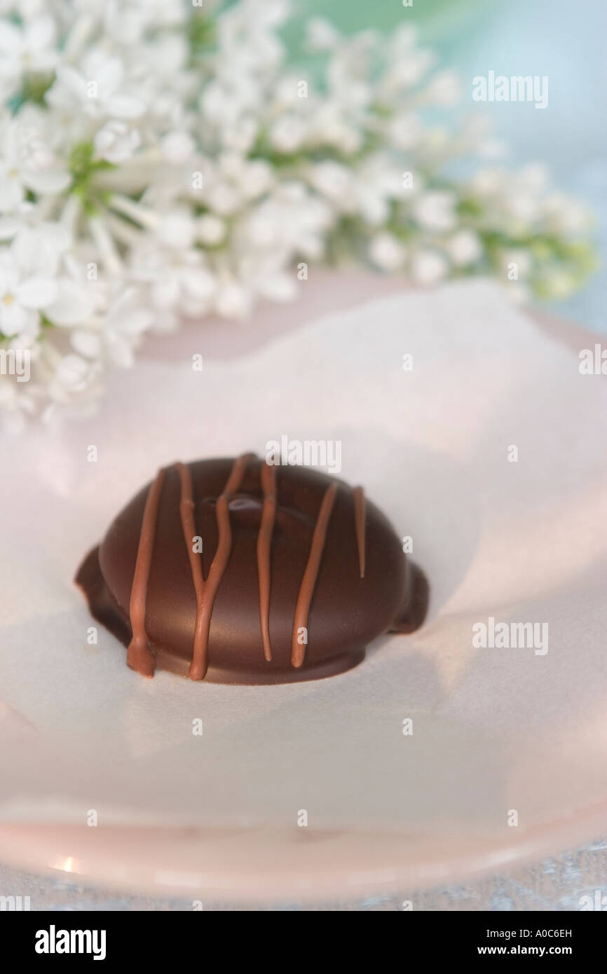 Chocolat noir à rayures sur lave Banque D'Images