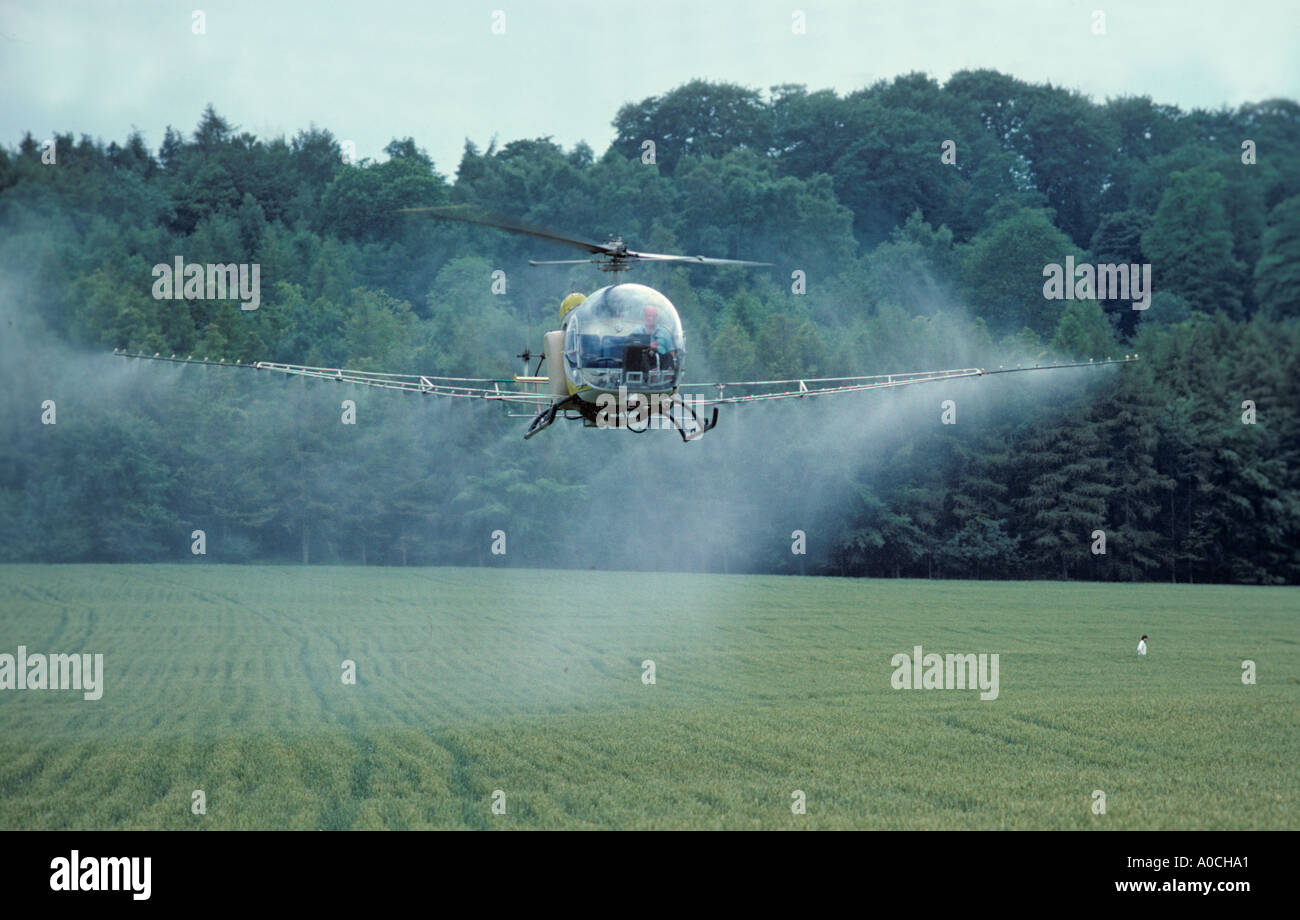 La pulvérisation à partir d'hélicoptères de Herts Juillet Banque D'Images
