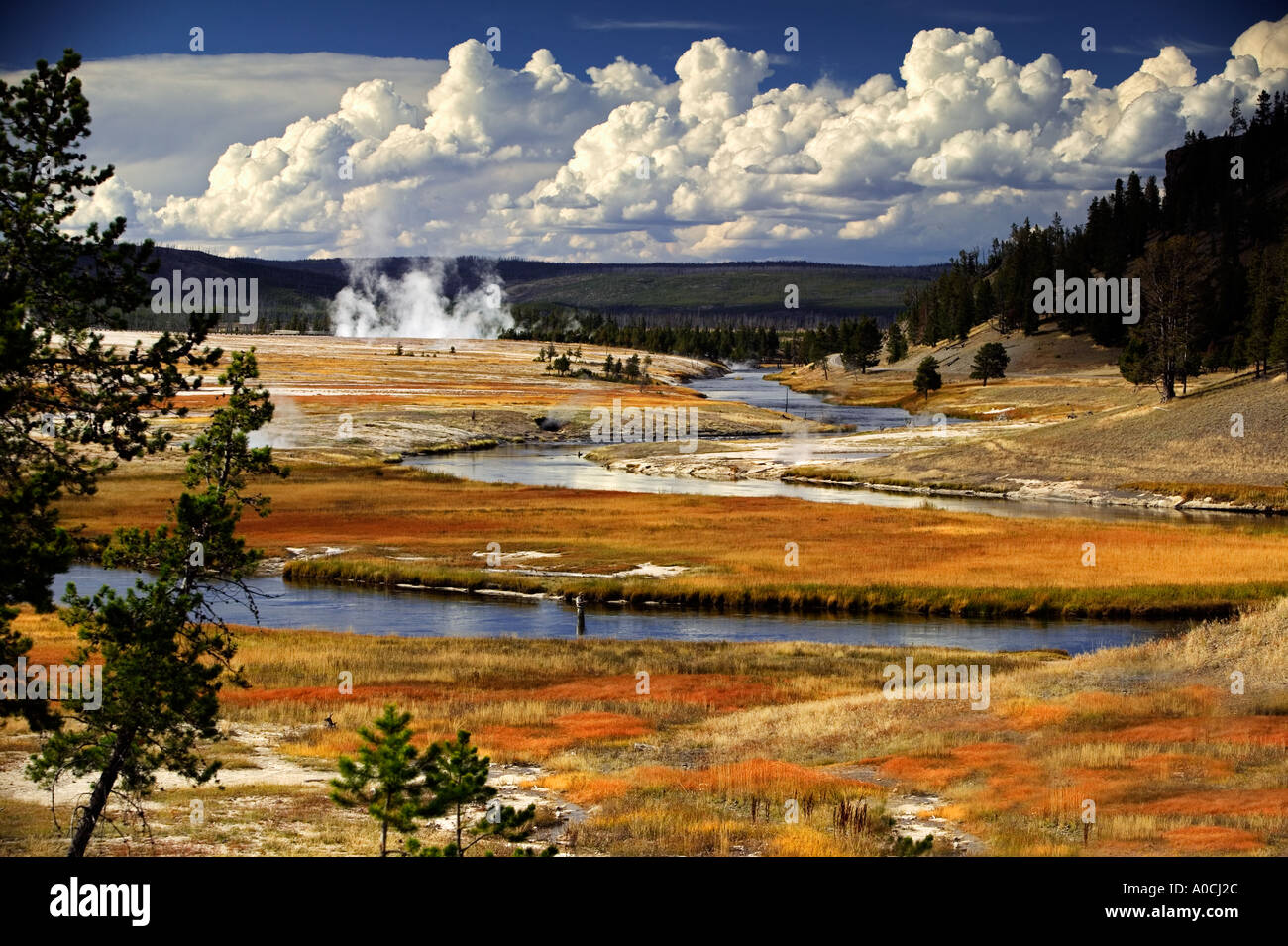 La pêche à la mouche sur la rivière Firehole avec la couleur de l'automne le Parc National de Yellowstone au Wyoming Banque D'Images