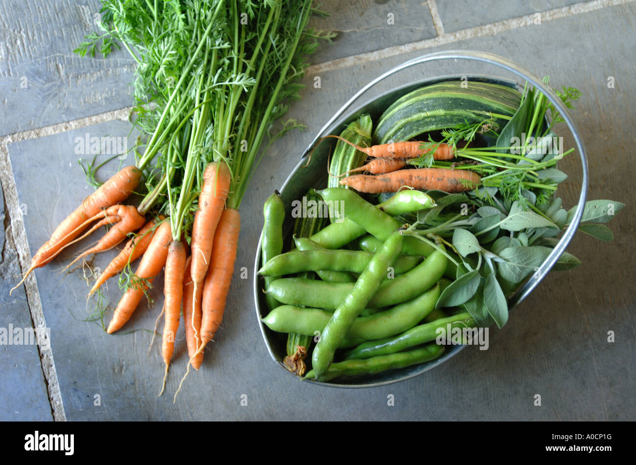 Une sélection DE LÉGUMES FRAIS ET DES HERBES DANS UN PANIER MÉTAL UK Banque D'Images