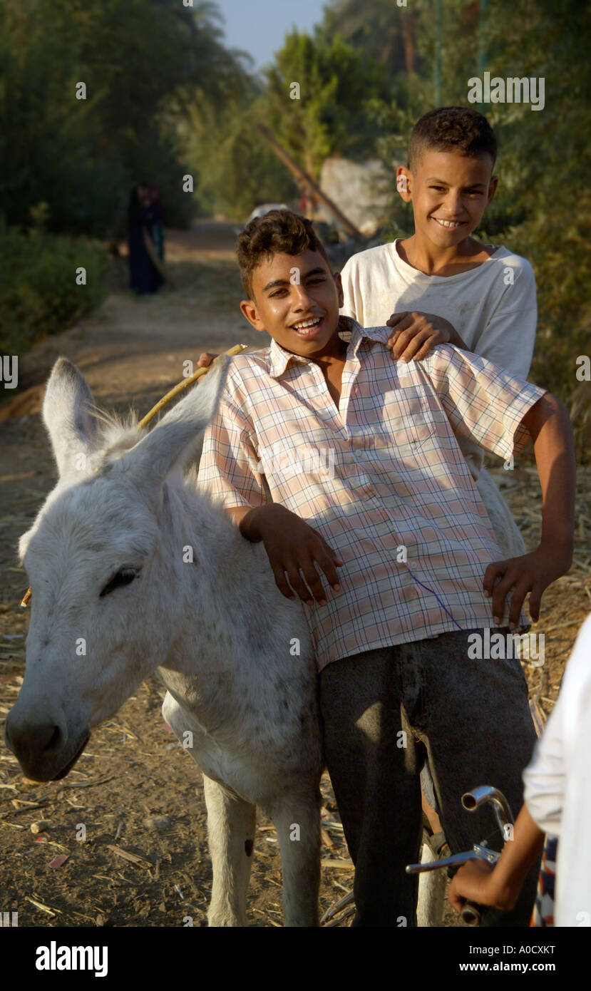 Rire les enfants égyptiens avec âne près de delta du Nil Banque D'Images