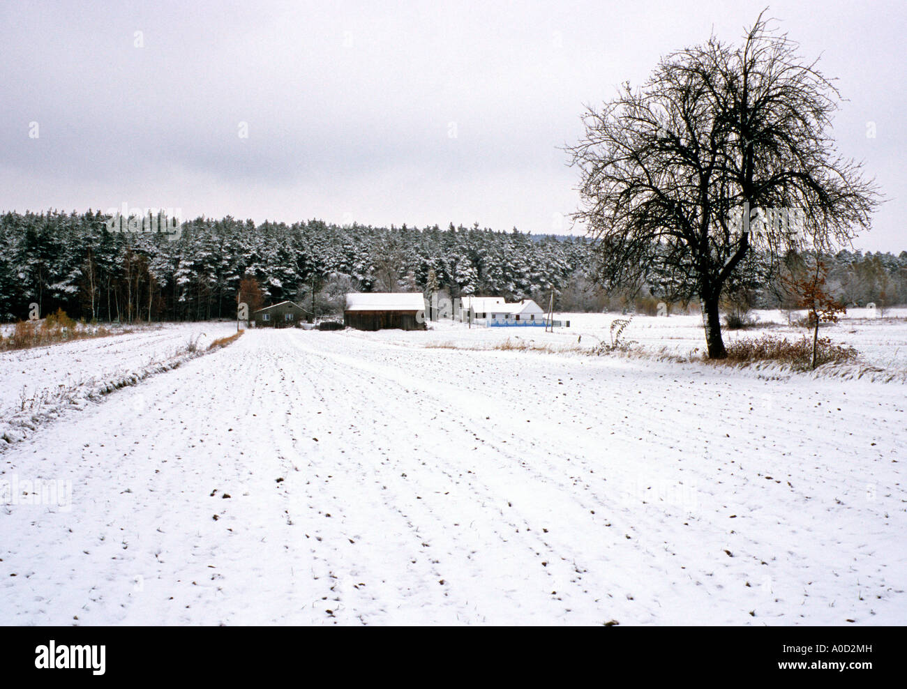 Monts Sainte-Croix, Swieta Katarzyna snow Banque D'Images