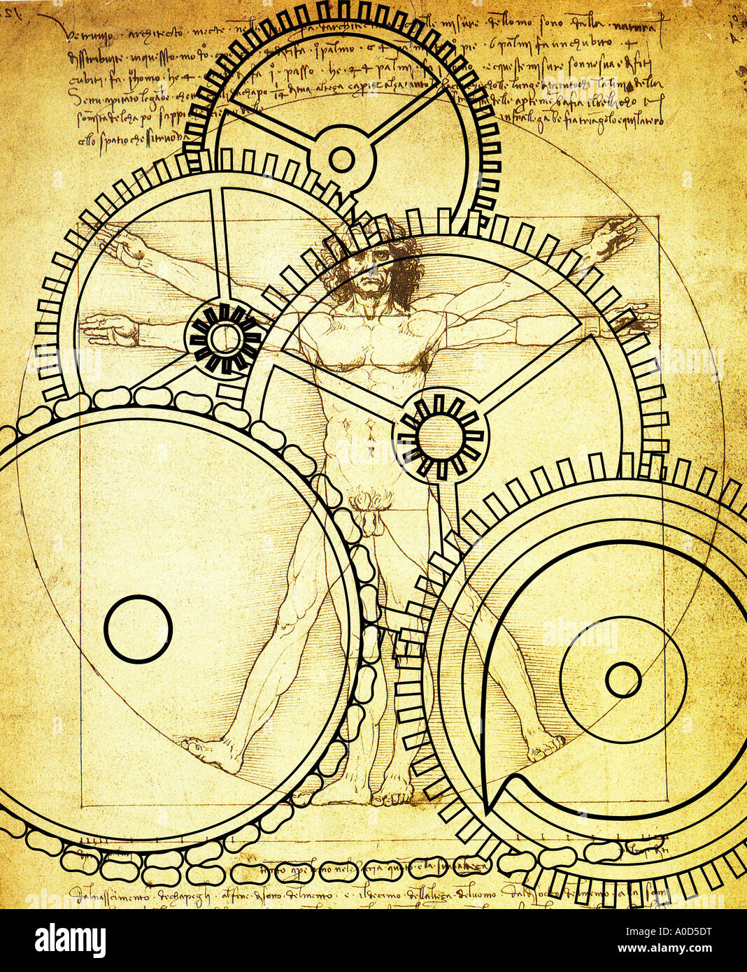 L'homme de Vitruve de Léonard de Vinci croquis d'un composite sur roues et pignons Banque D'Images