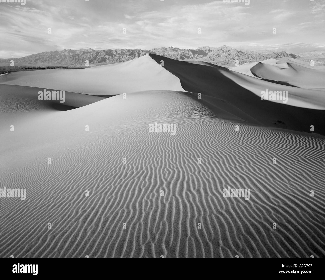 USA Californie Death Valley National Monument Mesquite Flat dunes de sable désert paysage Banque D'Images