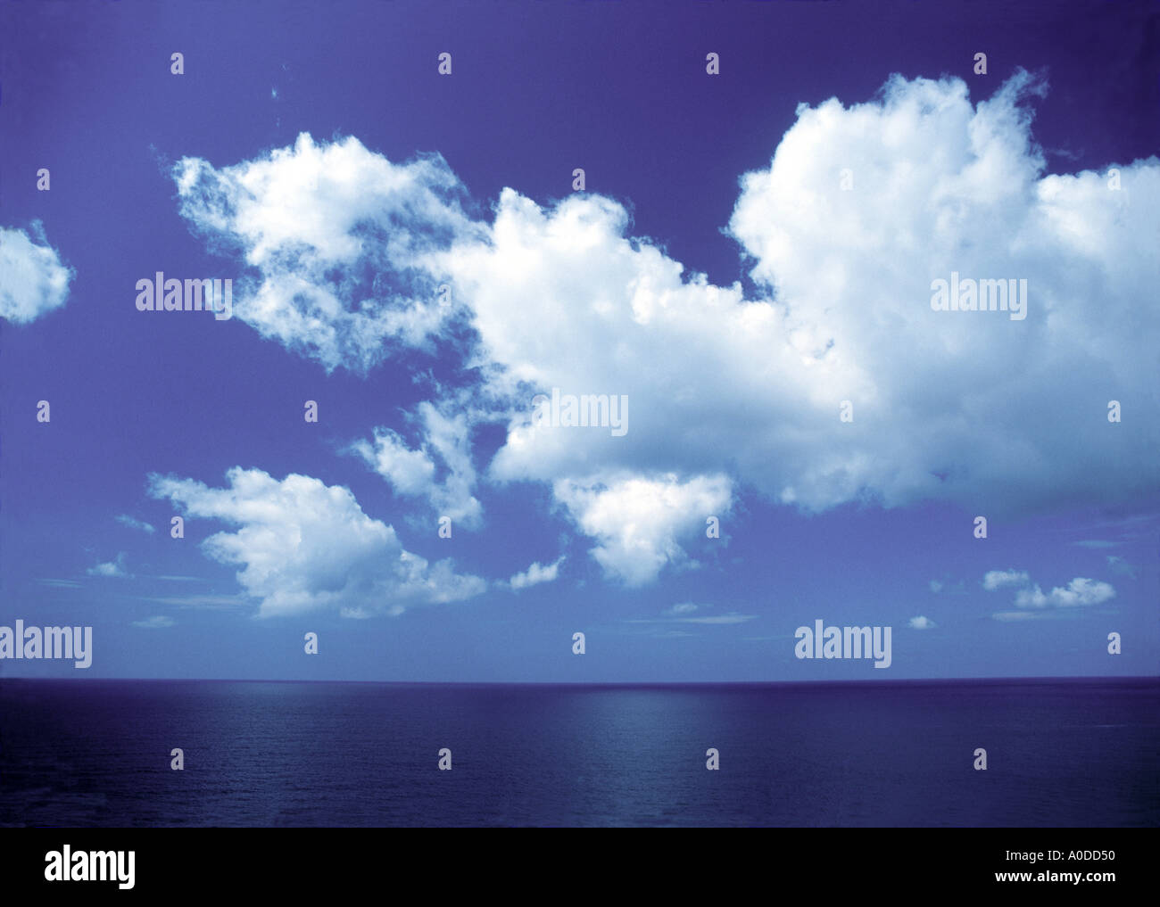 Ciel bleu, mer de nuages blancs Banque D'Images