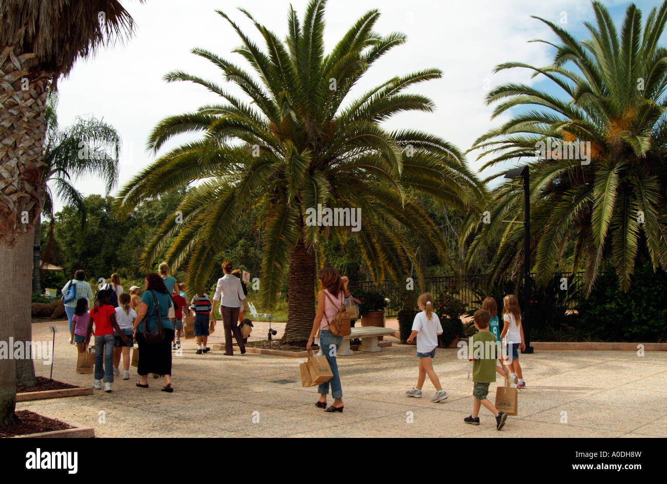 Le Florida Botanical Gardens at Largo Florida USA Le jardin botanique est situé dans la pinède du Parc Culturel Banque D'Images