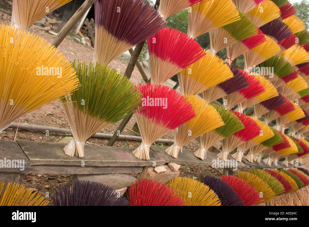 Vietnam Hue centrale d'encens Santal teints avec revêtement en attente ou pâte à la cannelle Banque D'Images