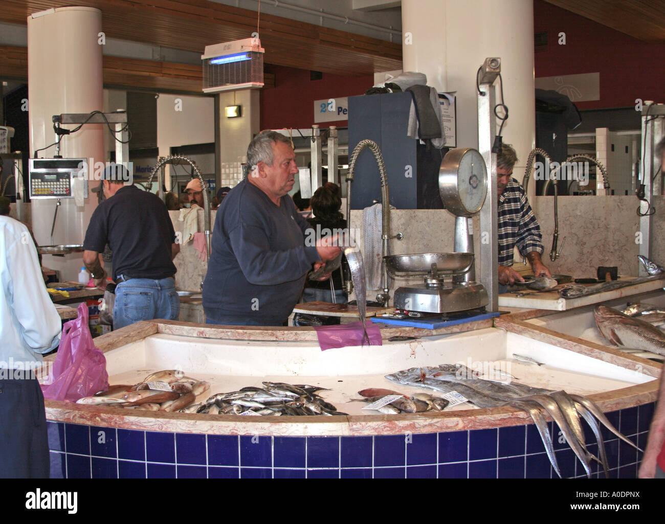 Marché aux poissons à Lagos Algarve Portugal Banque D'Images