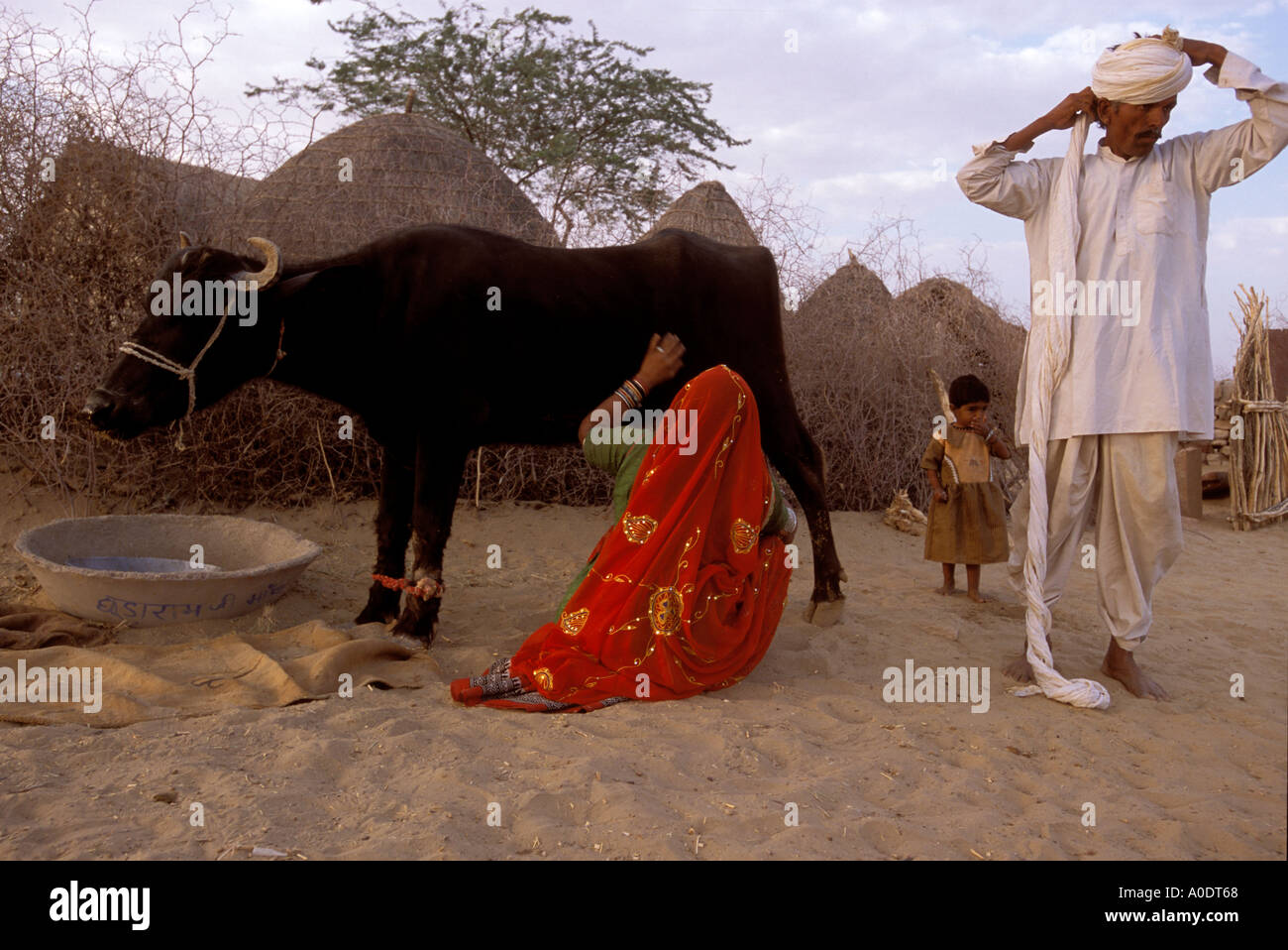 Mode de vie autochtones Bishnoi désert du Rajasthan Inde Banque D'Images