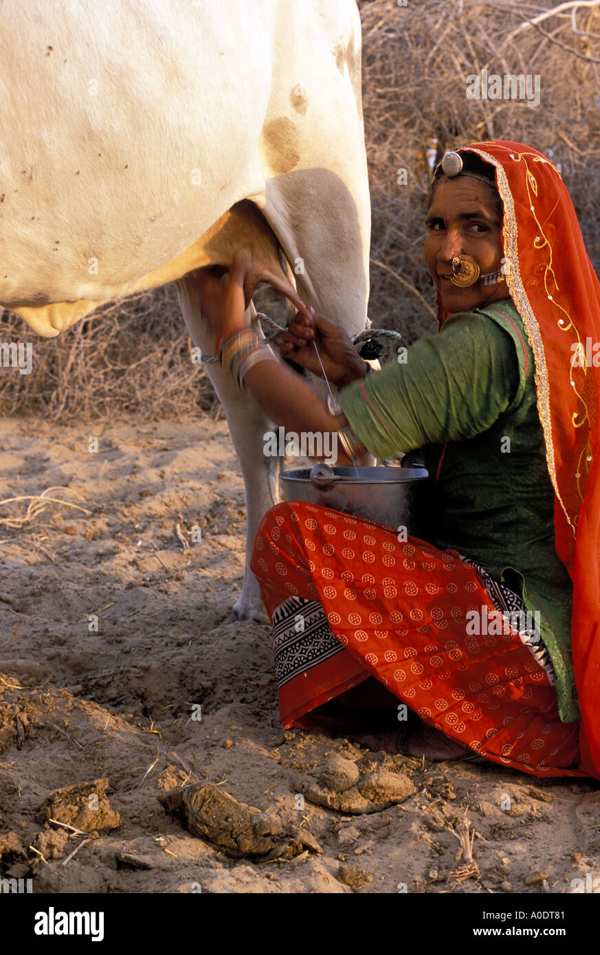 Le mode de vie des tribus indigènes indigènes Bishnoi ou le désert du Rajasthan en Inde Banque D'Images