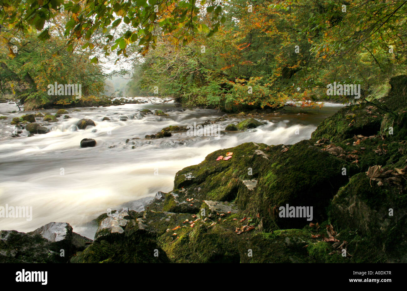 Quai de la rivière en automne à Bolton Abbey, Wharfedale, Yorkshire. Banque D'Images