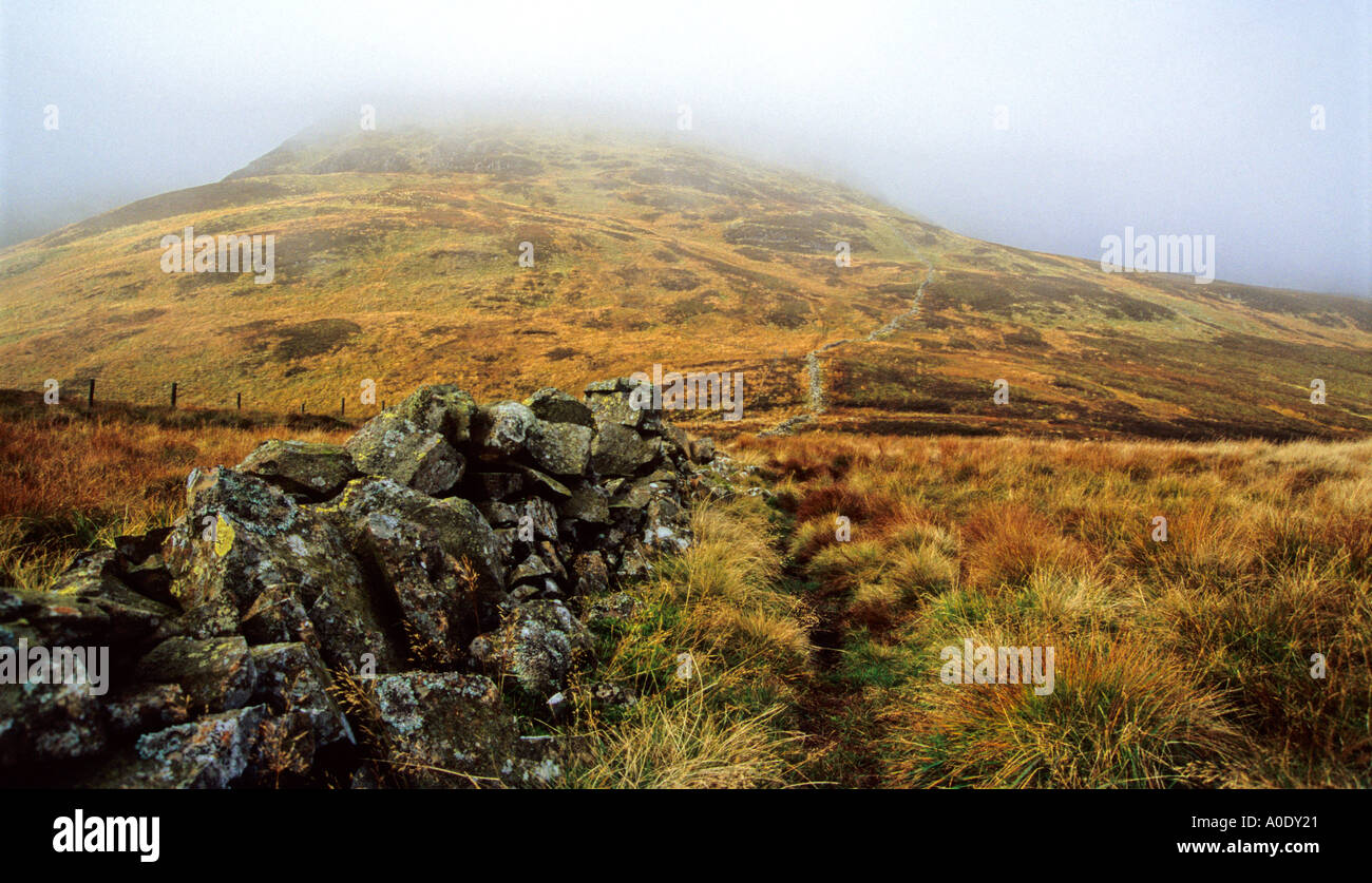 Vue vers le cloud enveloppées de Coombs blanc Banque D'Images