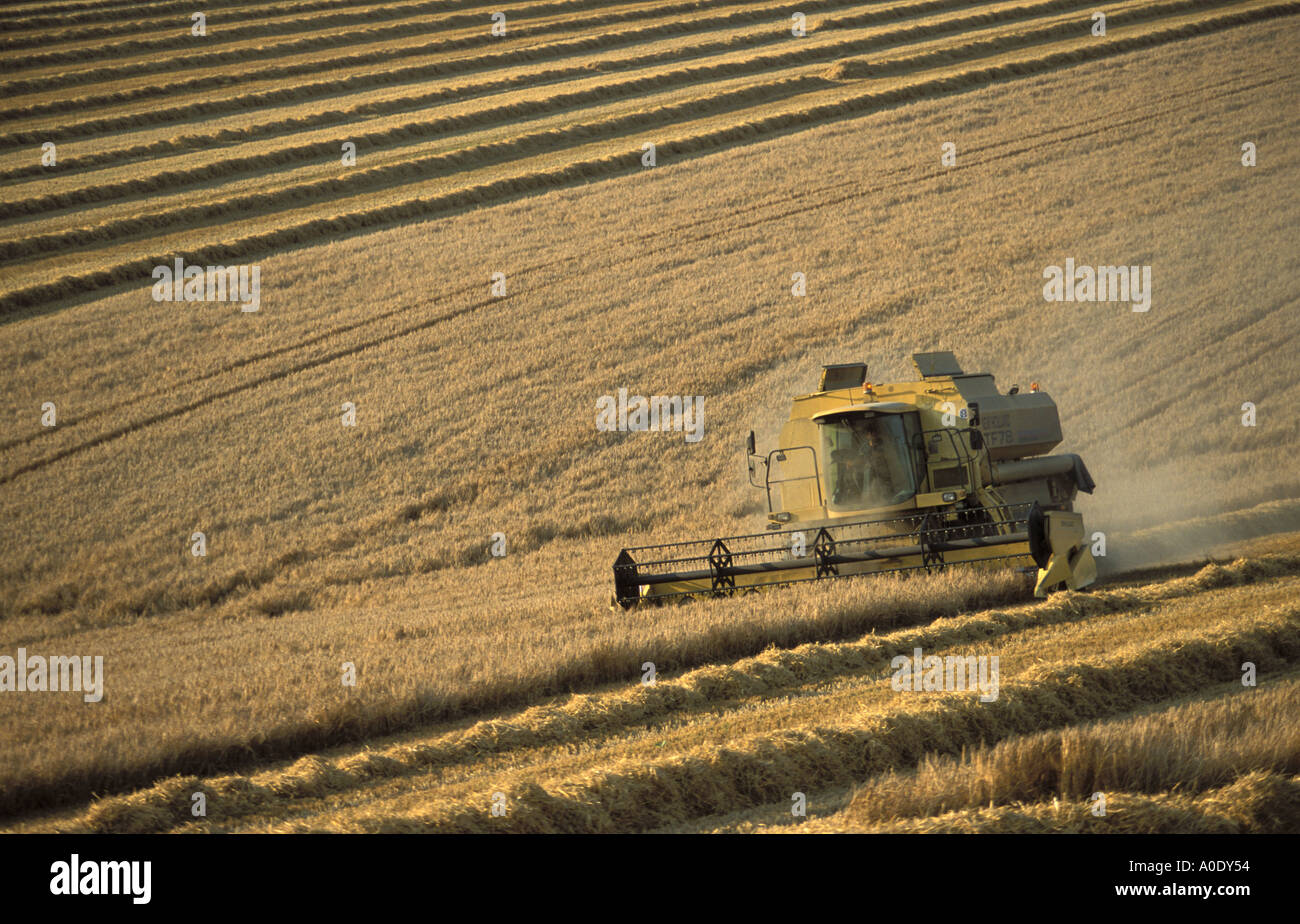 Moissonneuse-batteuse au travail dans l'agriculture énorme champ près de simple Wiltshire Banque D'Images