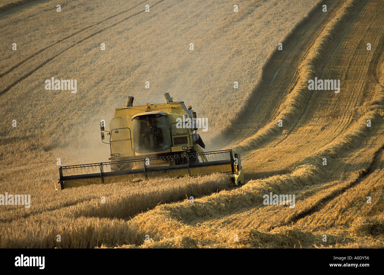 Moissonneuse-batteuse au travail dans l'agriculture énorme champ près de simple Wiltshire Banque D'Images