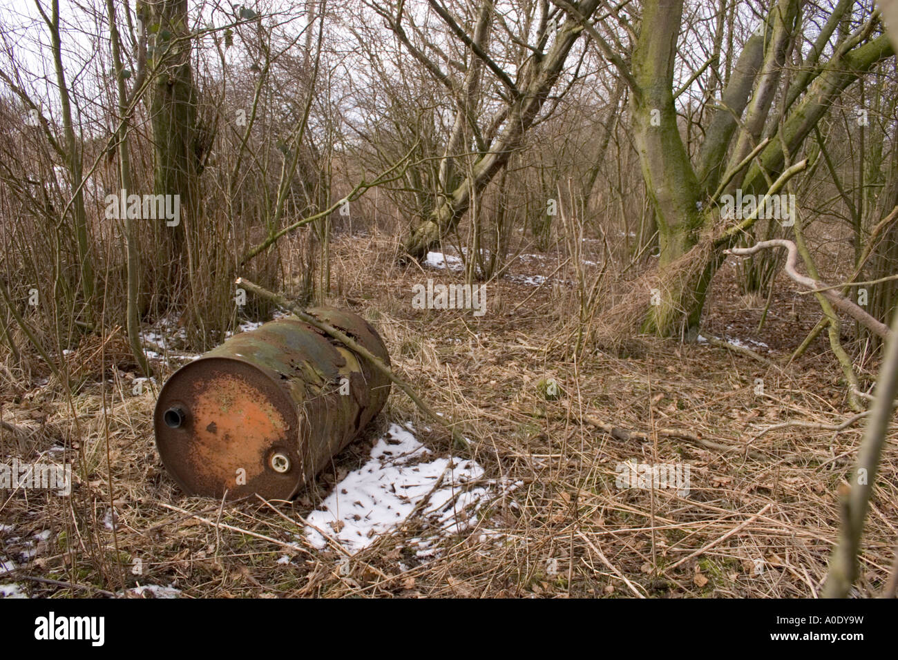 L'HUILE DE ROUILLE TAMBOUR CHIMIQUE DANS LES BOIS PENDANT L'HIVER AVEC NEIGE AU SOL Banque D'Images