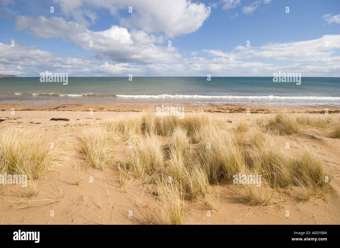 Plage de sable déserte et SHORE LINE SCÈNE AVEC CIEL BLEU Banque D'Images