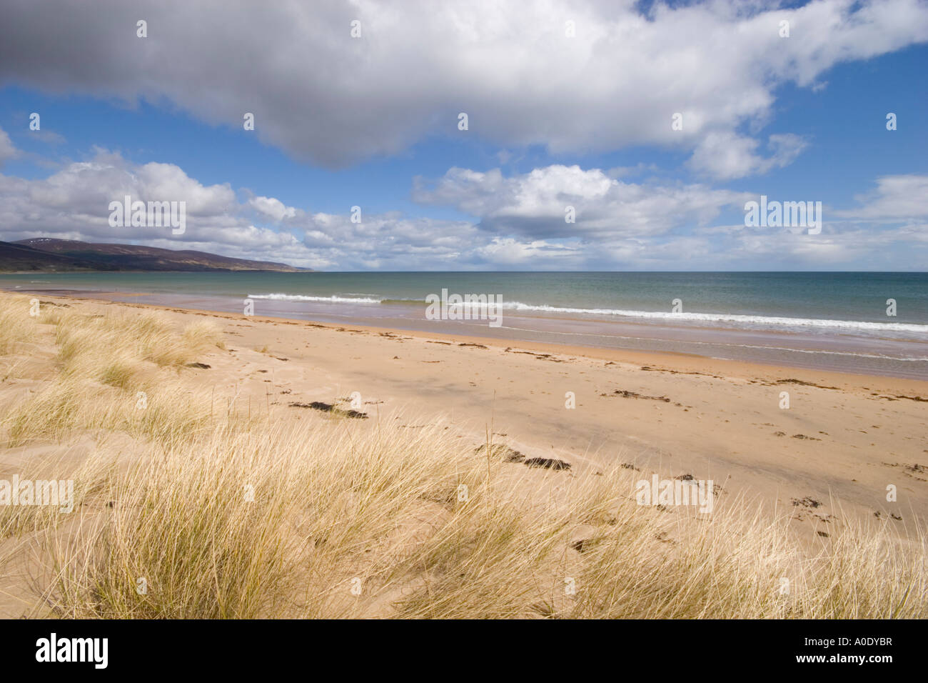 Plage de sable déserte et SHORE LINE SCÈNE AVEC CIEL BLEU Banque D'Images