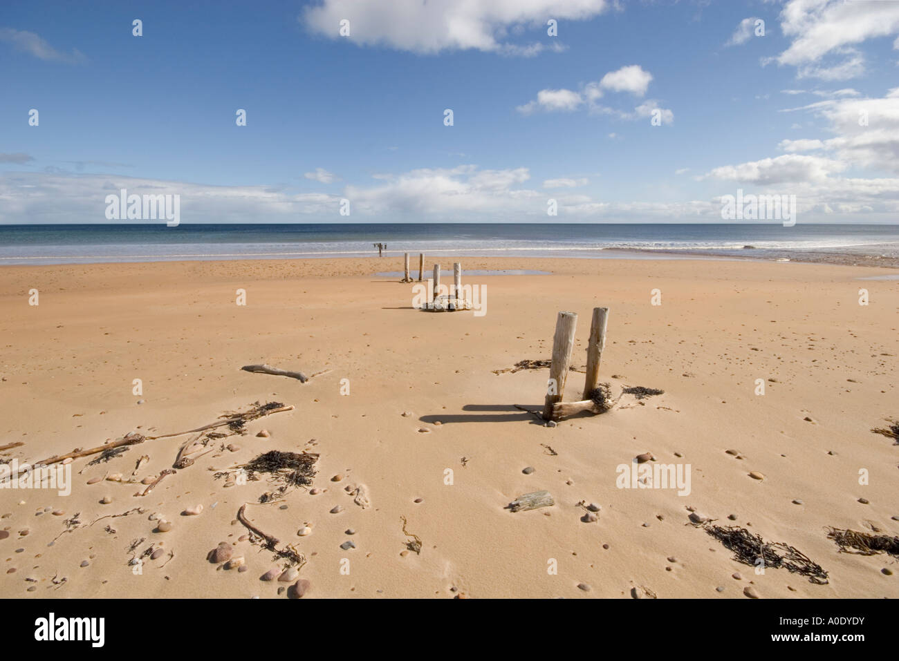 Scène de plage de sable déserte avec CIEL BLEU ET LES POSTES D'ATTEINDRE DEHORS À LA MER Banque D'Images