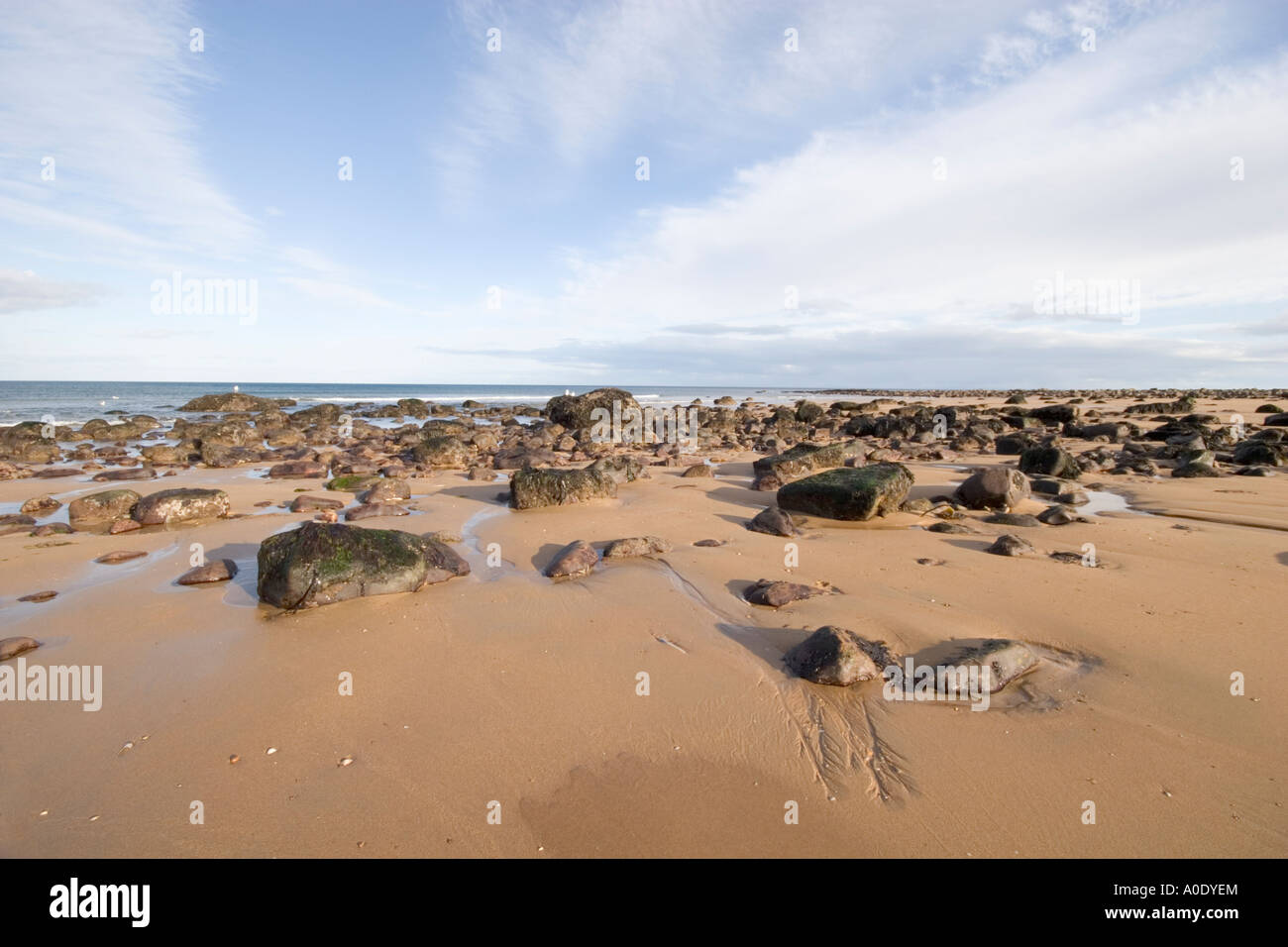 Scène de plage rocheuse déserte avec CIEL BLEU Banque D'Images