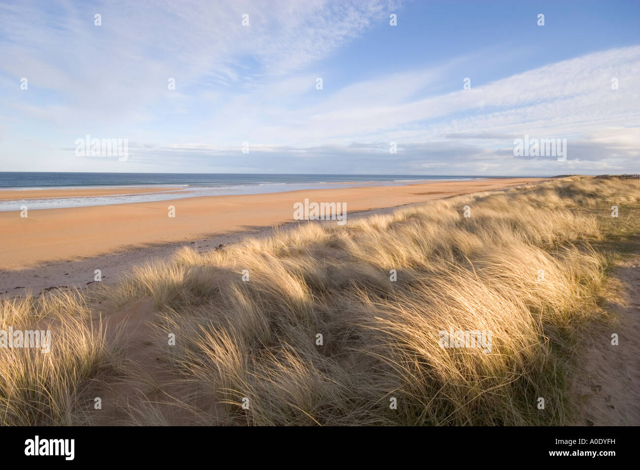 Plage de sable déserte en Écosse avec ciel bleu Banque D'Images