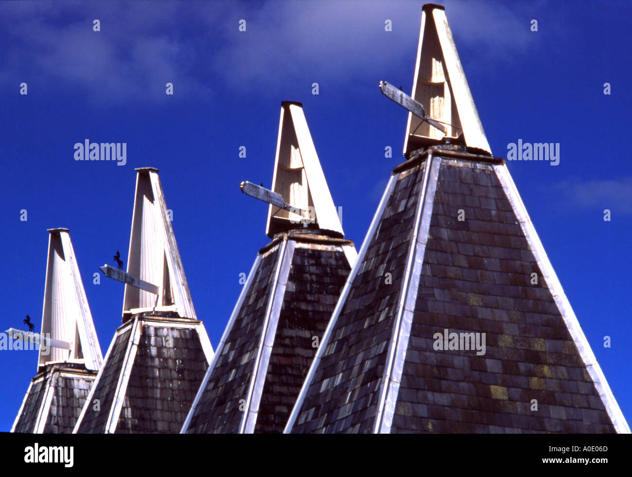 Rangée de quatre maisons oast contre le ciel bleu Banque D'Images