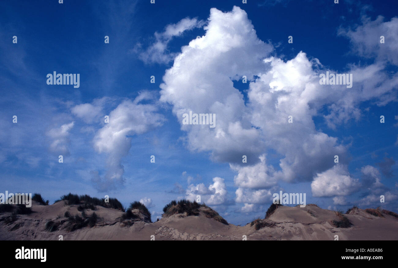 Les nuages et les dunes et le vent en Hollande Banque D'Images