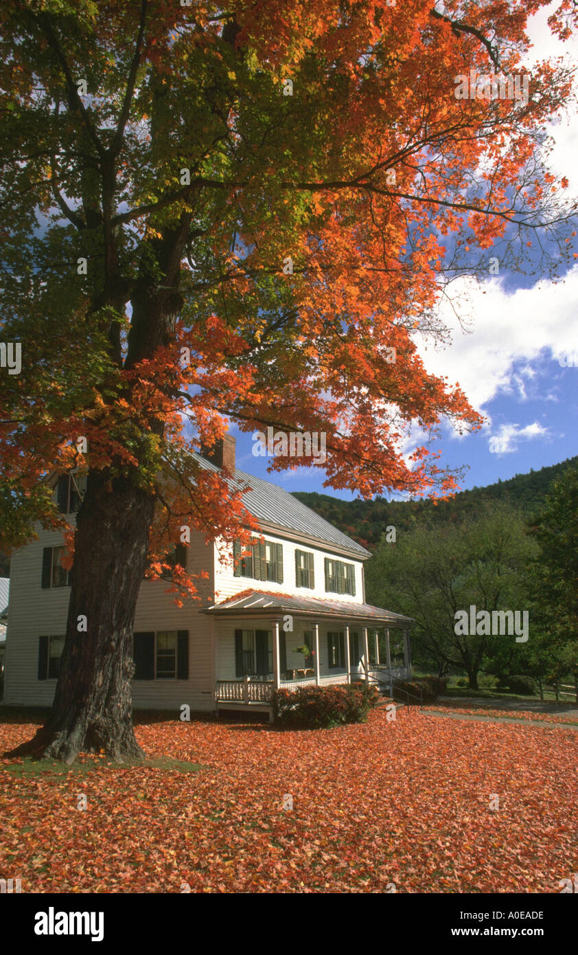 Feuillage d'automne dans la région de Sharon Vermont Banque D'Images