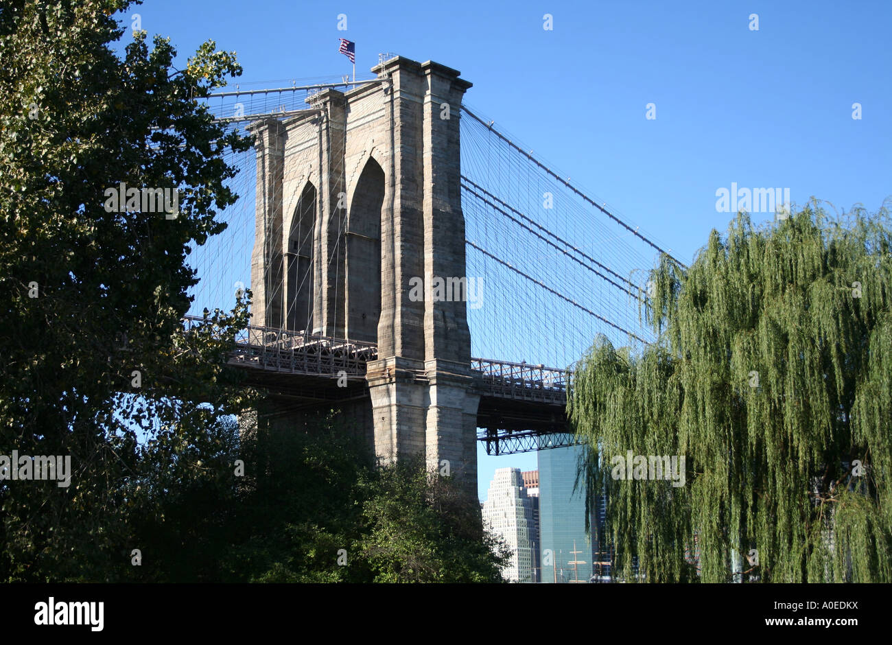 La tour de pierre du pont de Brooklyn et arbres de Empire-Fulton Ferry State Park brooklyn New York City Octobre 2006 Banque D'Images