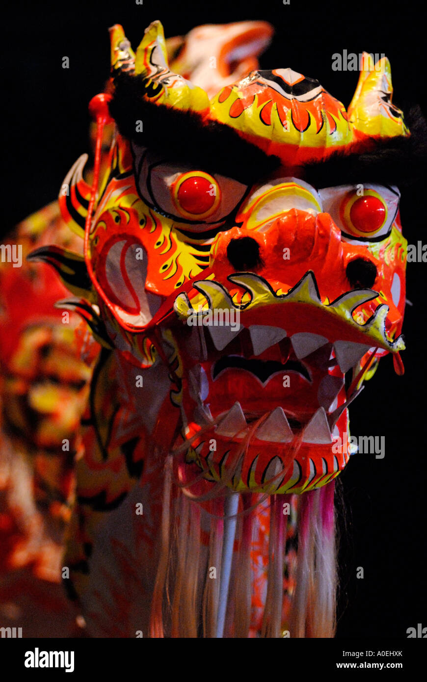 Dragon chinois s head dans une danse du dragon Banque D'Images