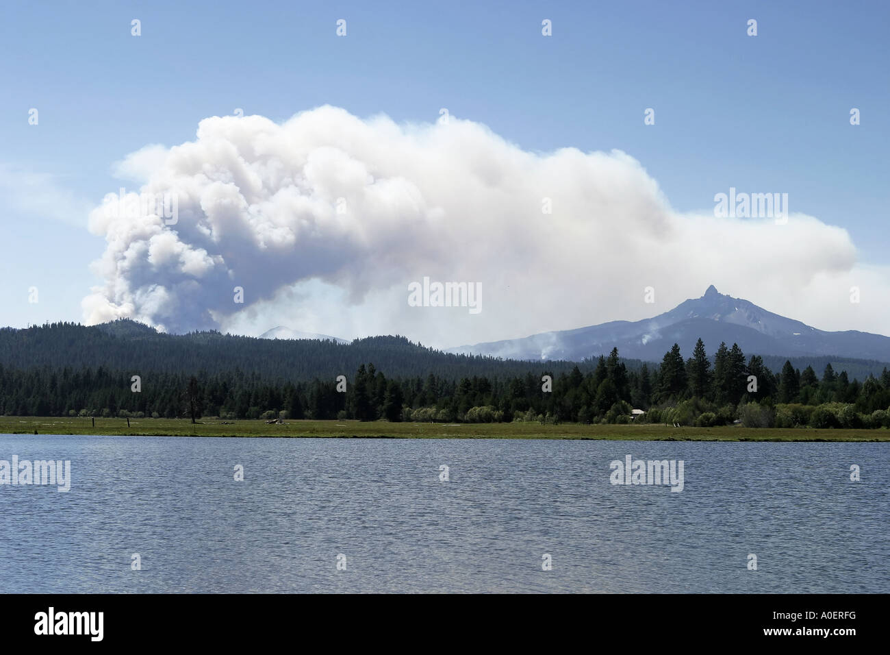 La fumée des incendies de forêt Fermer Banque D'Images