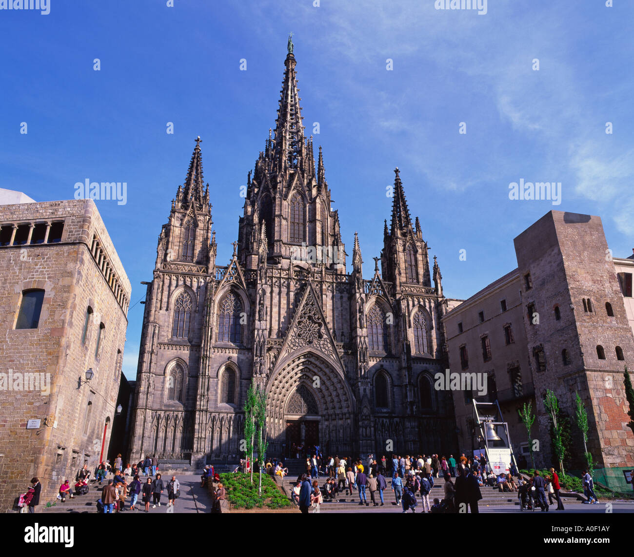 La Cathédrale de Barcelone, Barcelone, Espagne Banque D'Images