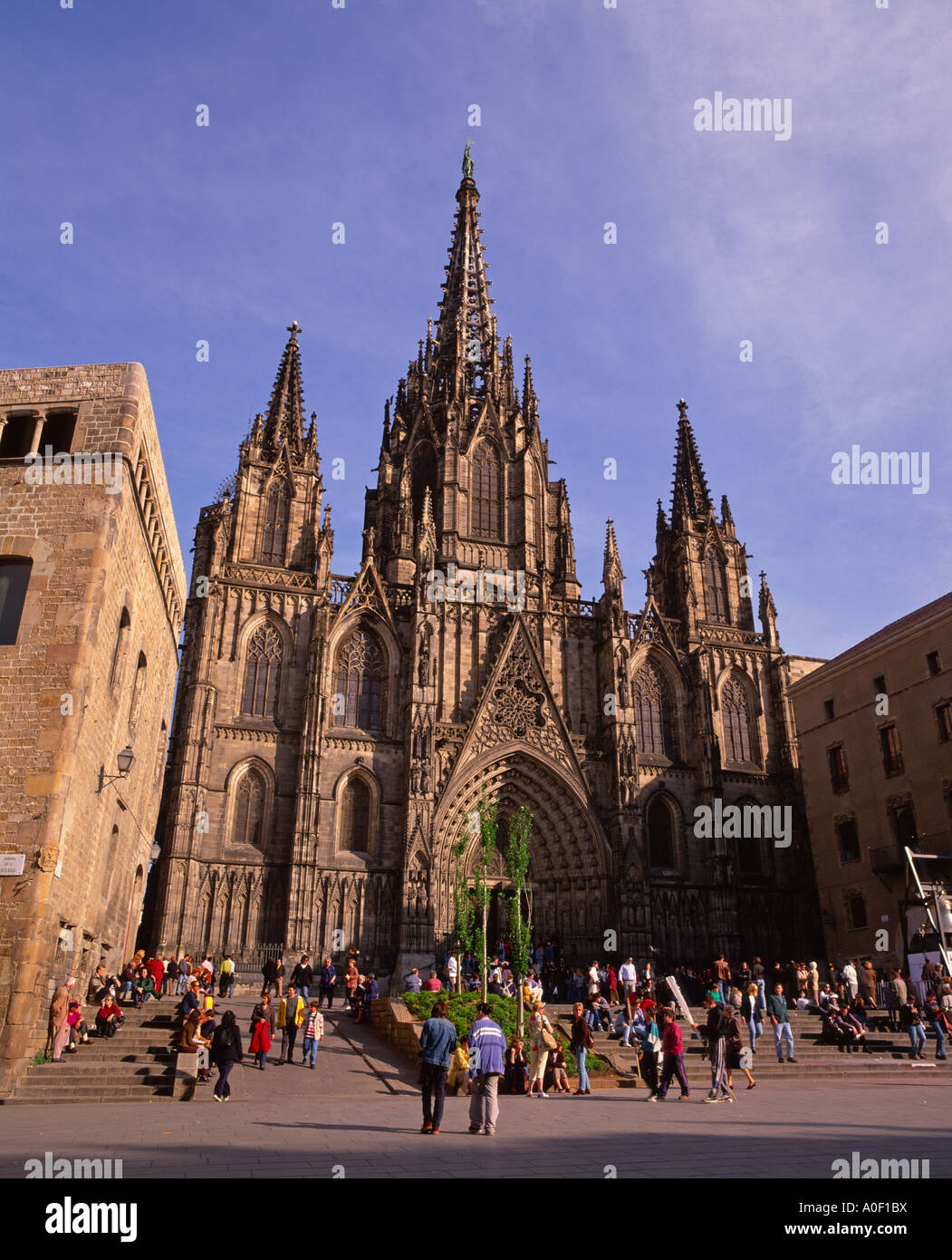 La Cathédrale de Barcelone, Barcelone, Espagne Banque D'Images