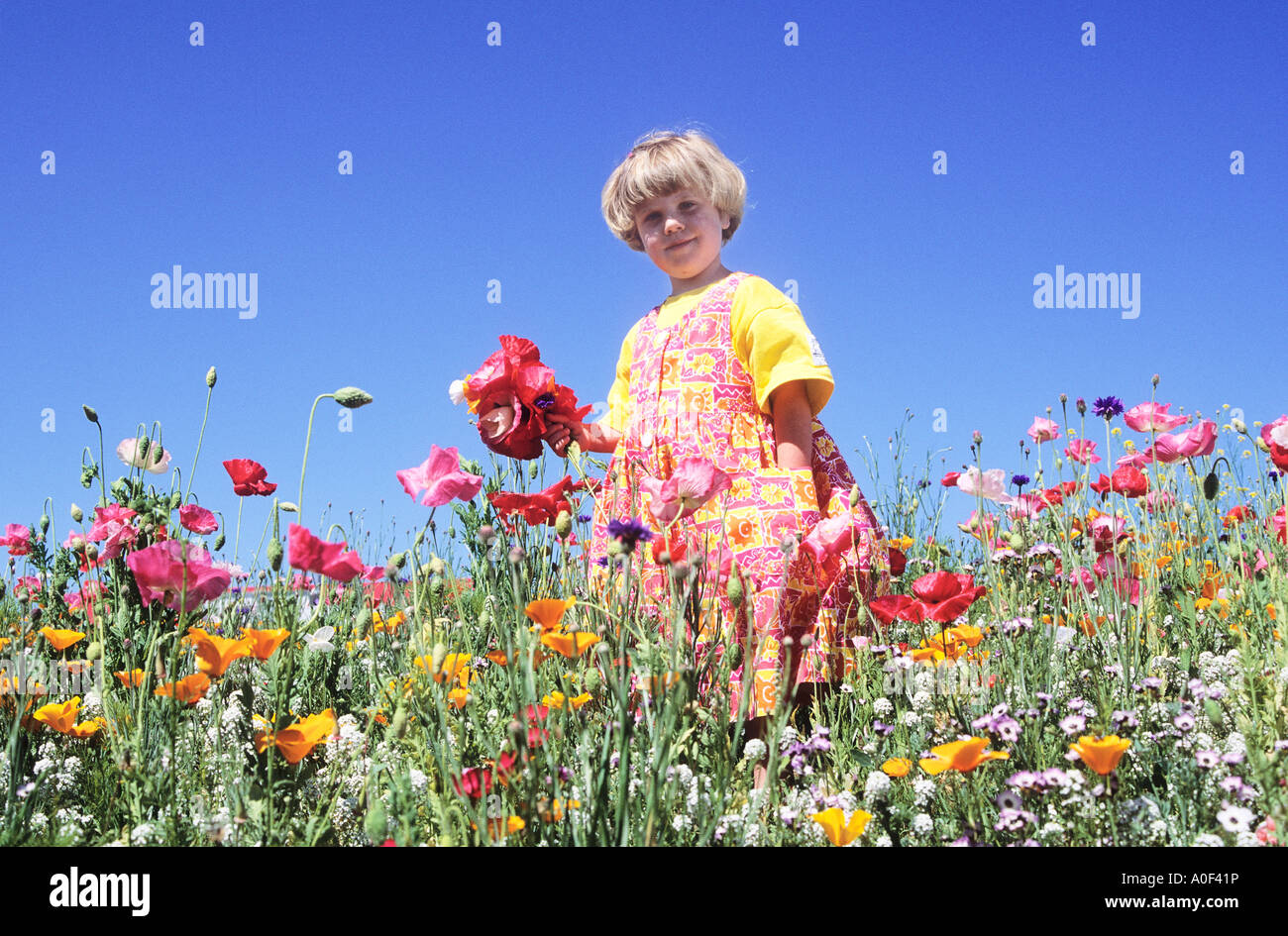 Jeune fille dans le champ de fleurs Banque D'Images