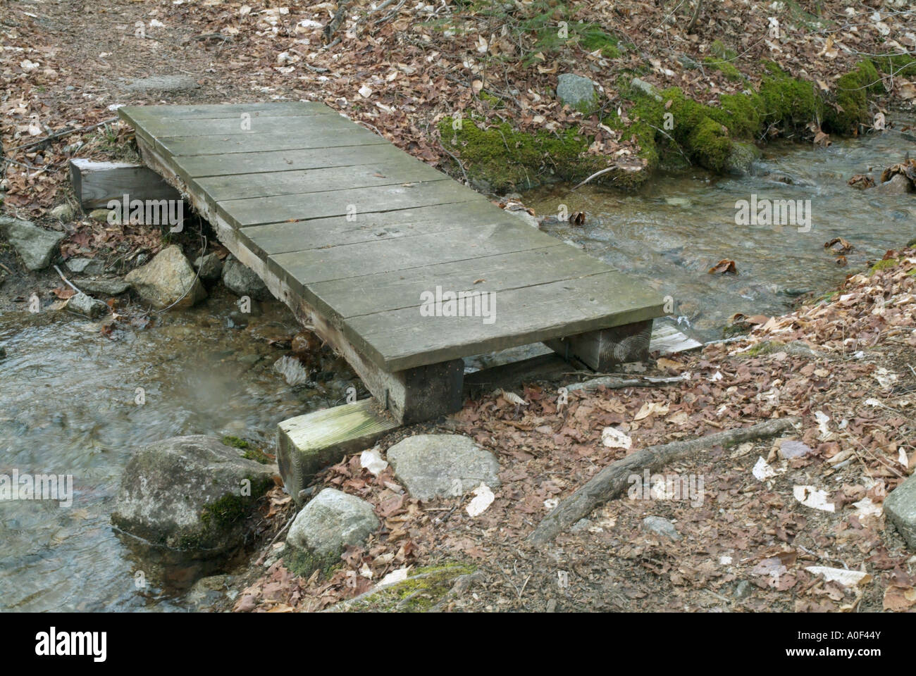 Pied en bois Pont sur Hale Brook Trail situé dans la White Mountain National Forest USA Banque D'Images