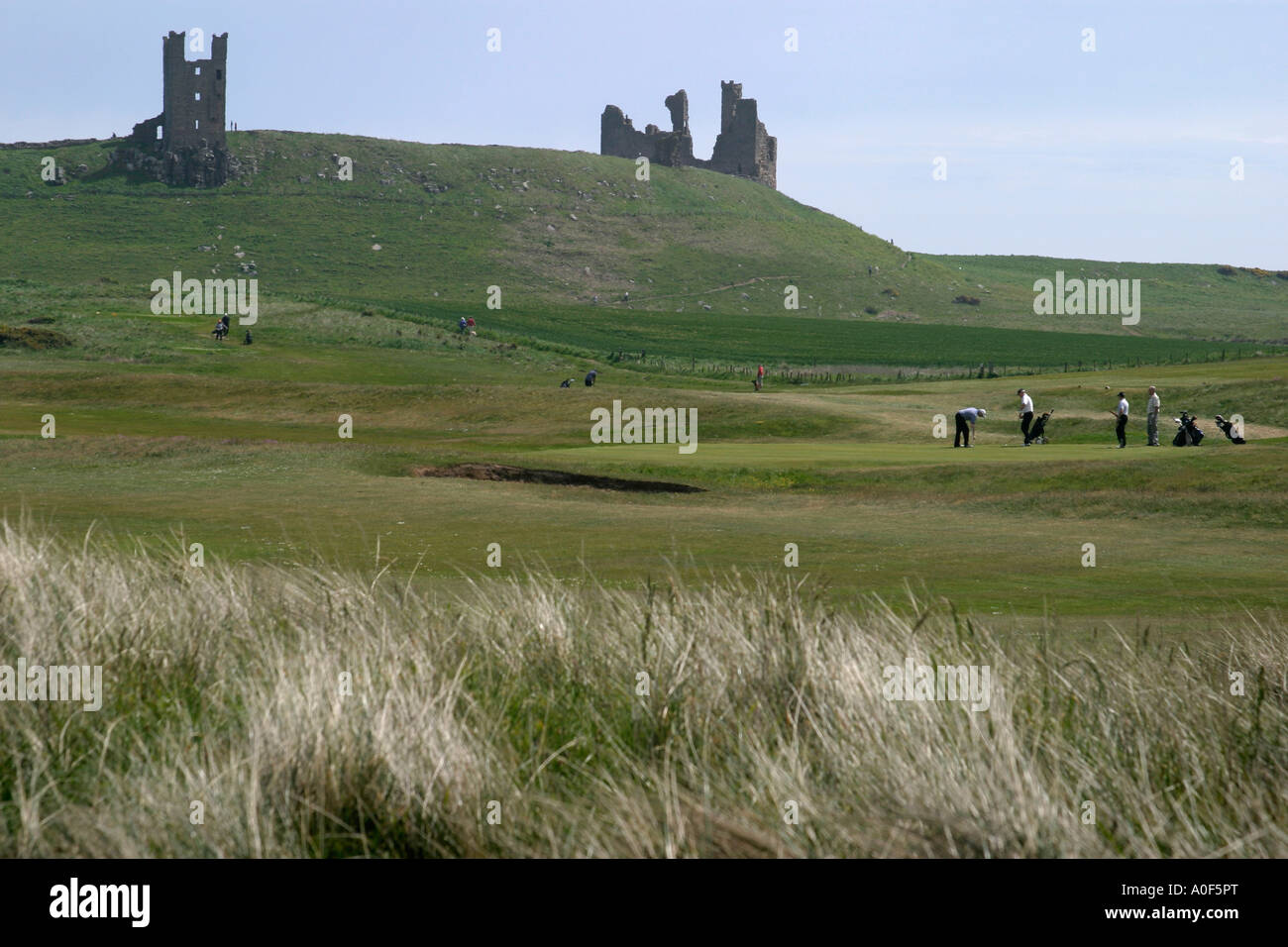 Golf à Château de Dunstanburgh dans Northumberland Royaume-uni Banque D'Images