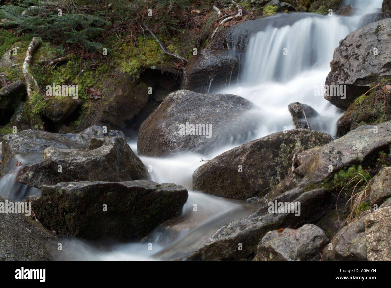 Un petit ruisseau sur Hale Brook Trail situé dans la White Mountain National Forest USA Banque D'Images