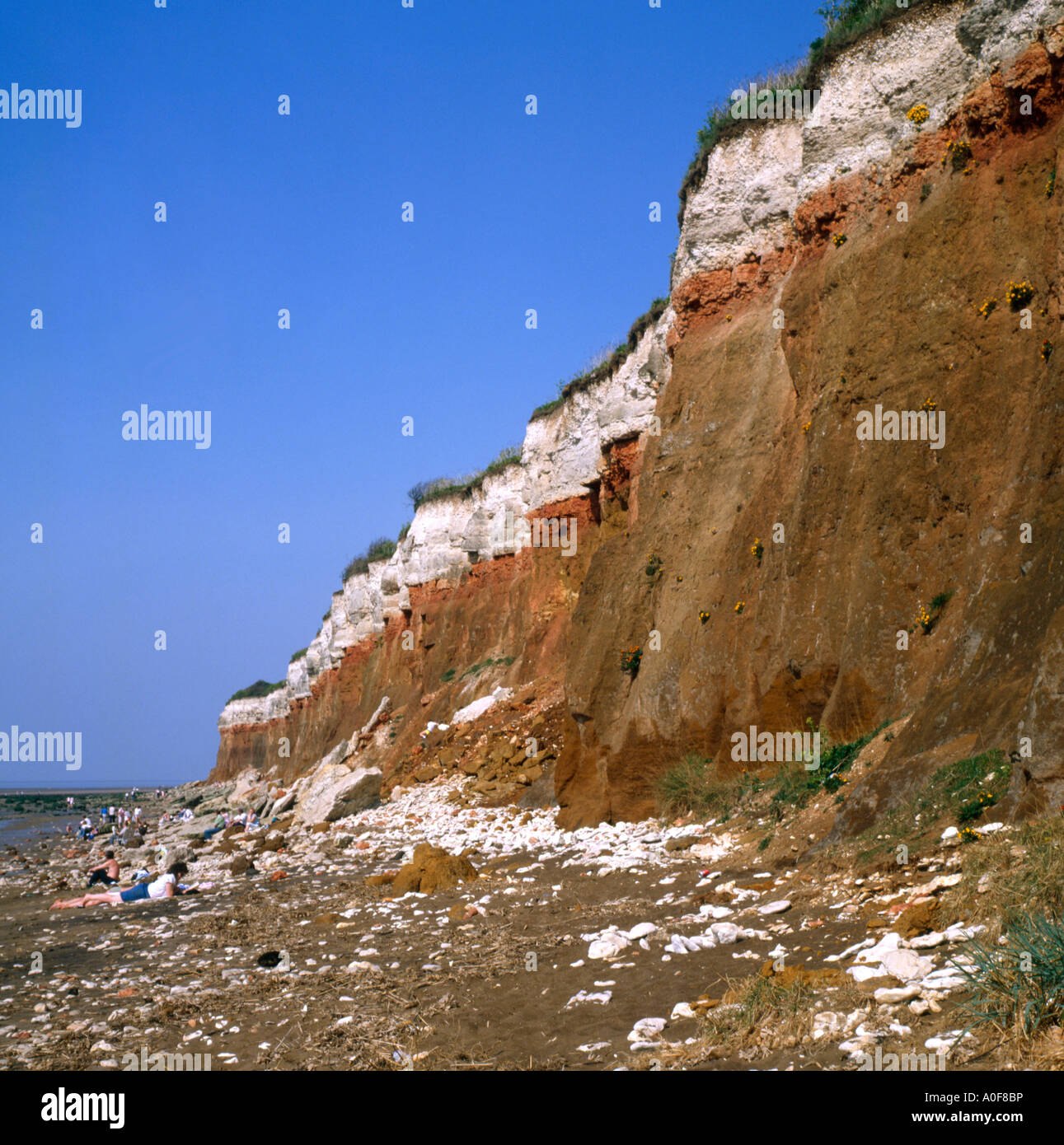 Falaises à Norfolk Hunstanton UK Banque D'Images