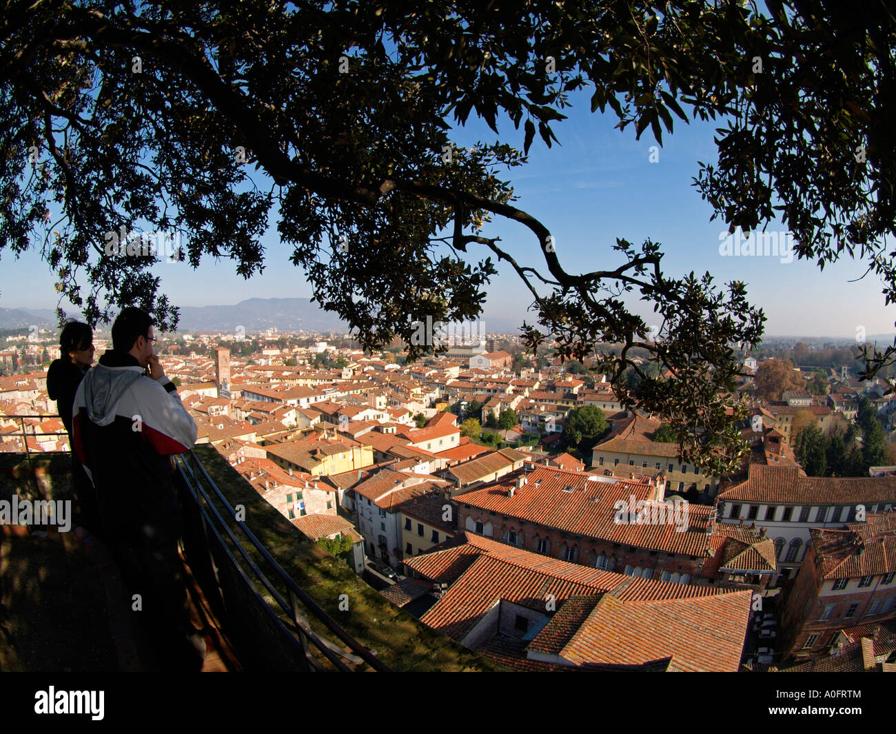 Les touristes à la recherche de plus de Lucca du haut de la tour Torre Guinigi fisheye Toscane Italie Banque D'Images