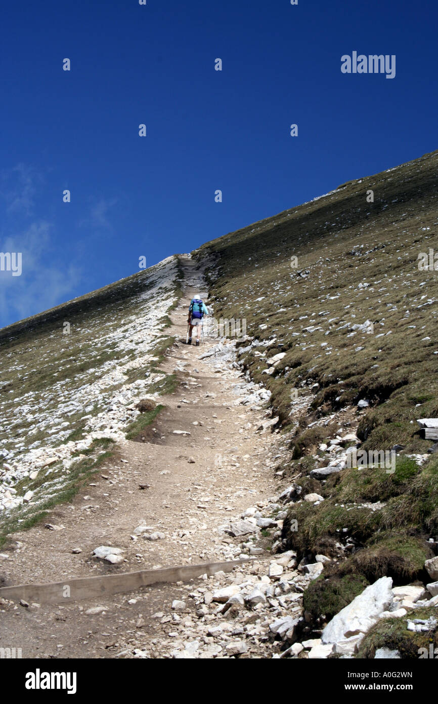 La trajectoire d'approche de Picco di Vallandro dans les Dolomites italiennes, Alpes Banque D'Images