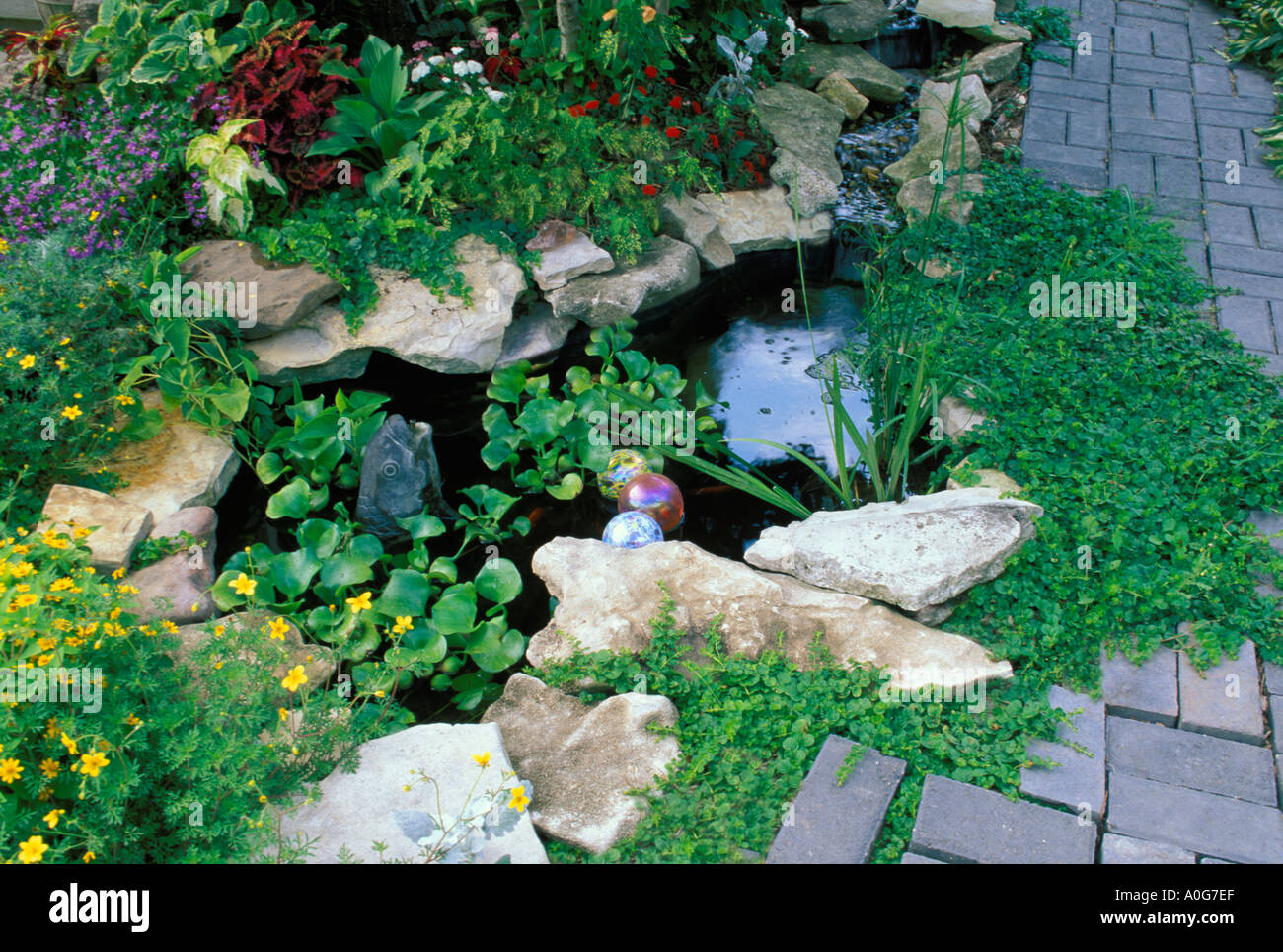 Les petits poissons décoratifs piscine avec chute d'eau dans jardin paysager avec terrasse et chemins de brique, Midwest USA Banque D'Images