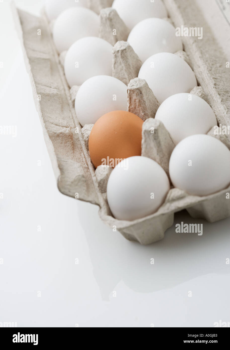 Un brown egg in carton Banque D'Images