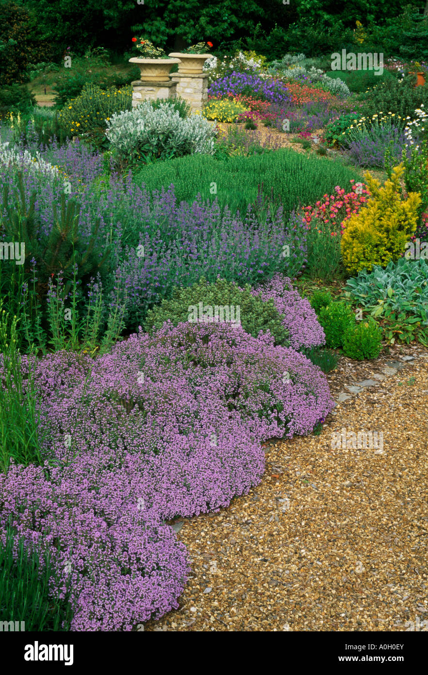 Cutmill Design Surrey Fiona Lawrenson jardin de gravier avec des plantes résistantes à la sécheresse Banque D'Images